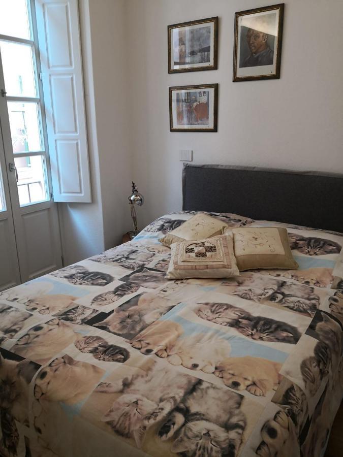 库尼奥Casa Del Conte Massimiliano Roero公寓 外观 照片